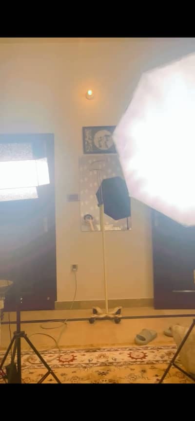 Light With Diffuser And Green Screen.