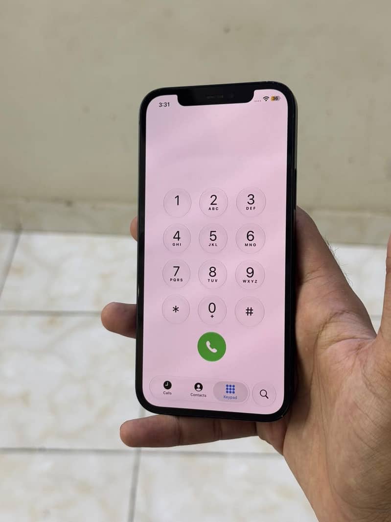 Apple iPhone 12 1