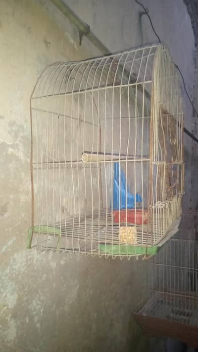 2 cage for sale