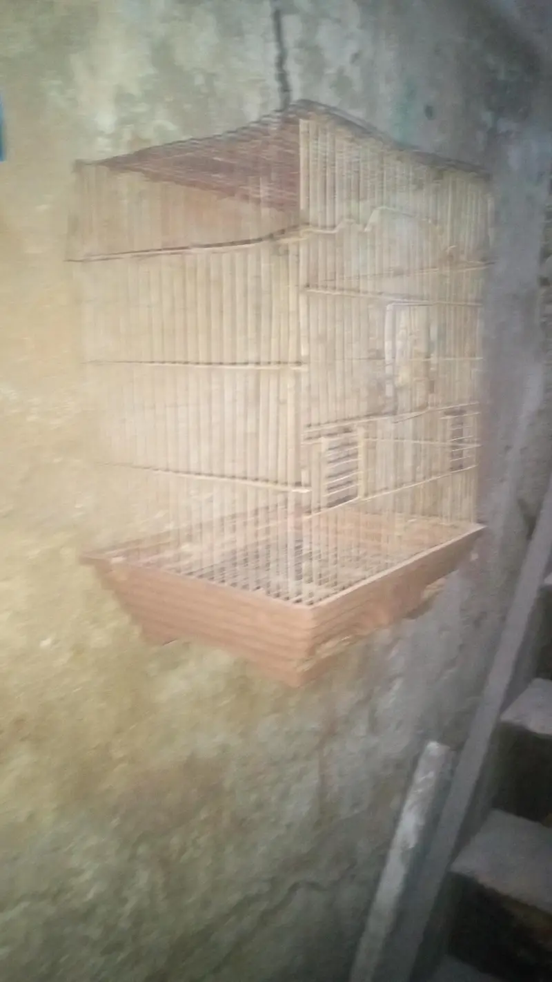 2 cage for sale — photo 2