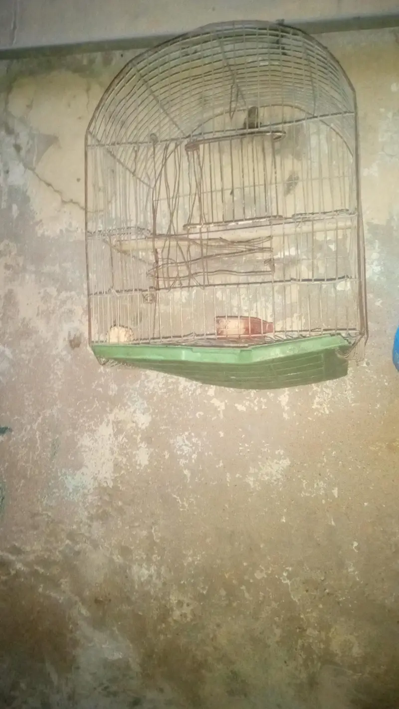 2 cage for sale — photo 3