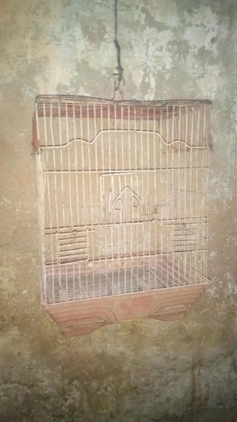 2 cage for sale — photo 4