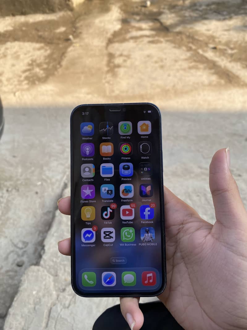 Apple iPhone 12 1