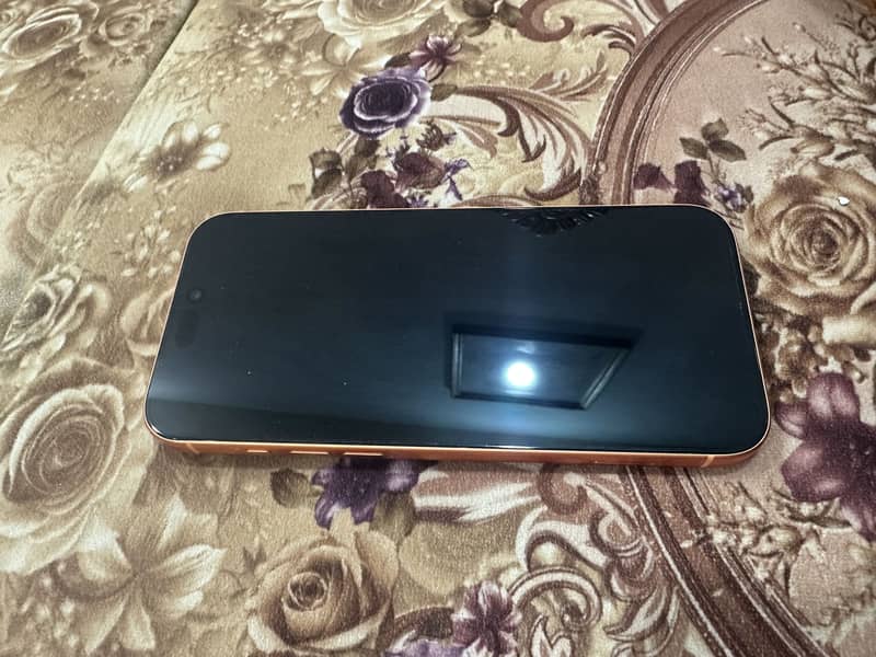 Apple iPhone 17 Pro Max 3