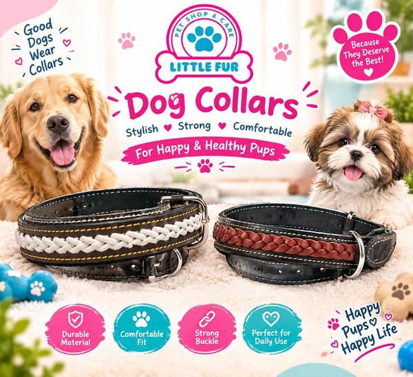 Stylish Dog Collar with Braided Design – Adjustable Black Collar for Dogs and Puppies, Durable Metal Buckle