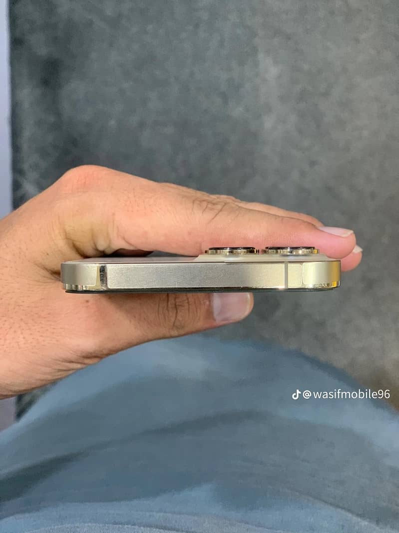 Apple iPhone 13 Pro Max 4