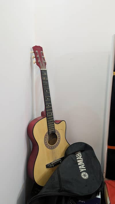 casme biegner acoustic guitar