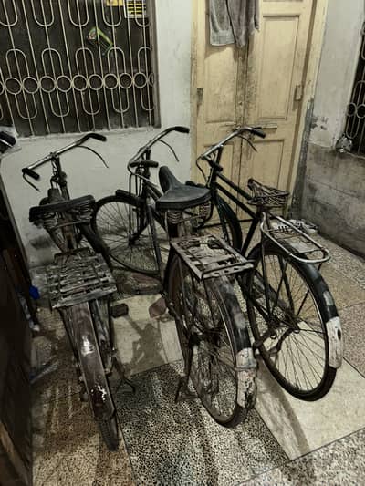 Sohrab BaBa cycle ( quantity of 3 )