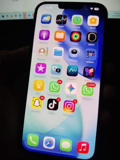 Apple iPhone 13 Pro Max