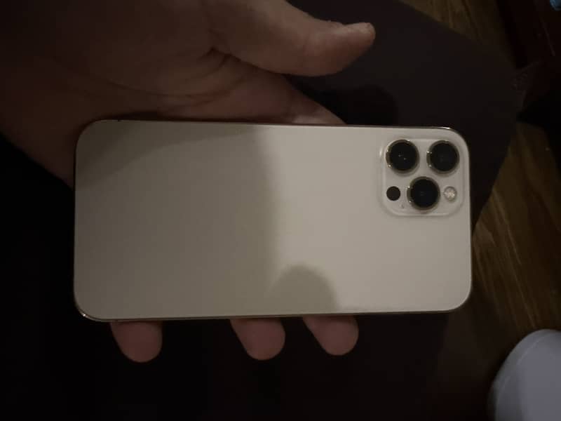 Apple iPhone 12 Pro Max 1