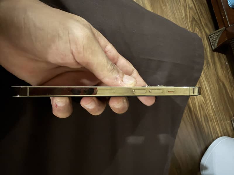 Apple iPhone 12 Pro Max 4