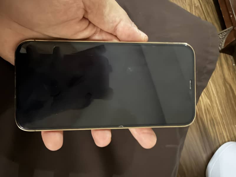 Apple iPhone 12 Pro Max 5