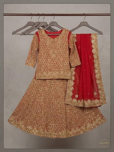 Lehnga Used only once
