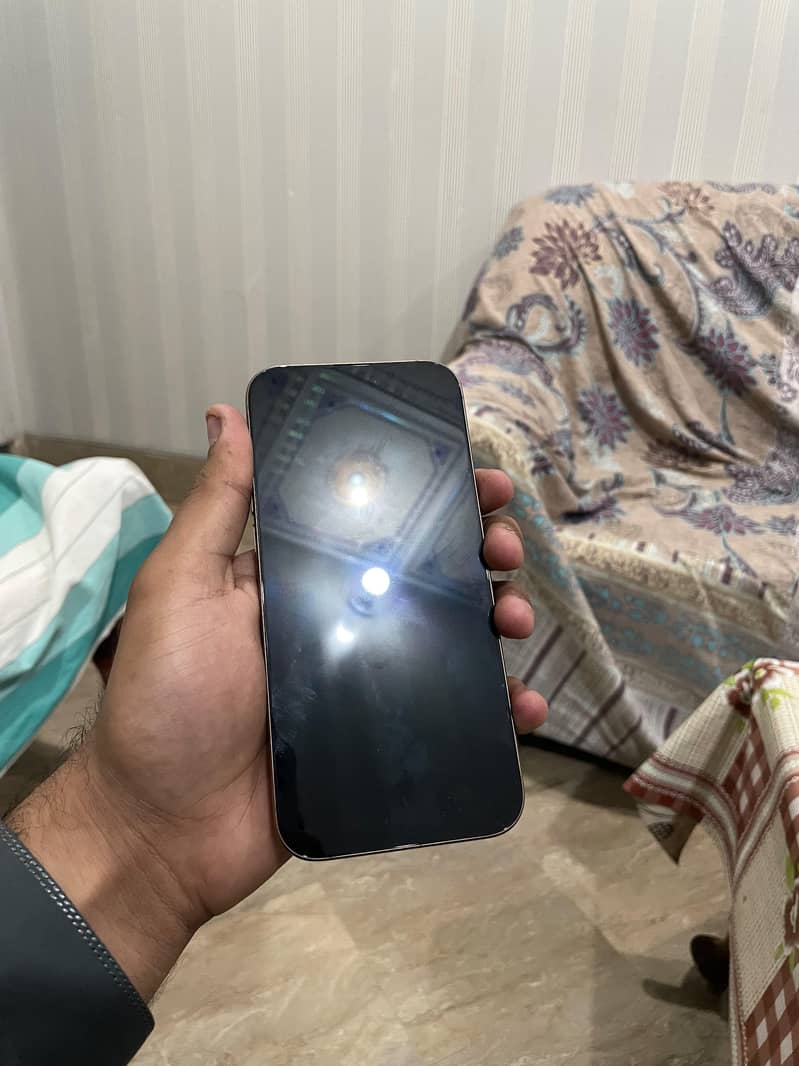 Apple iPhone 16 Pro Max 1