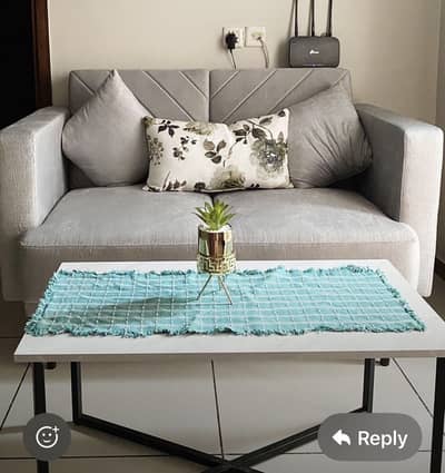 2 seater sofa and coffee table