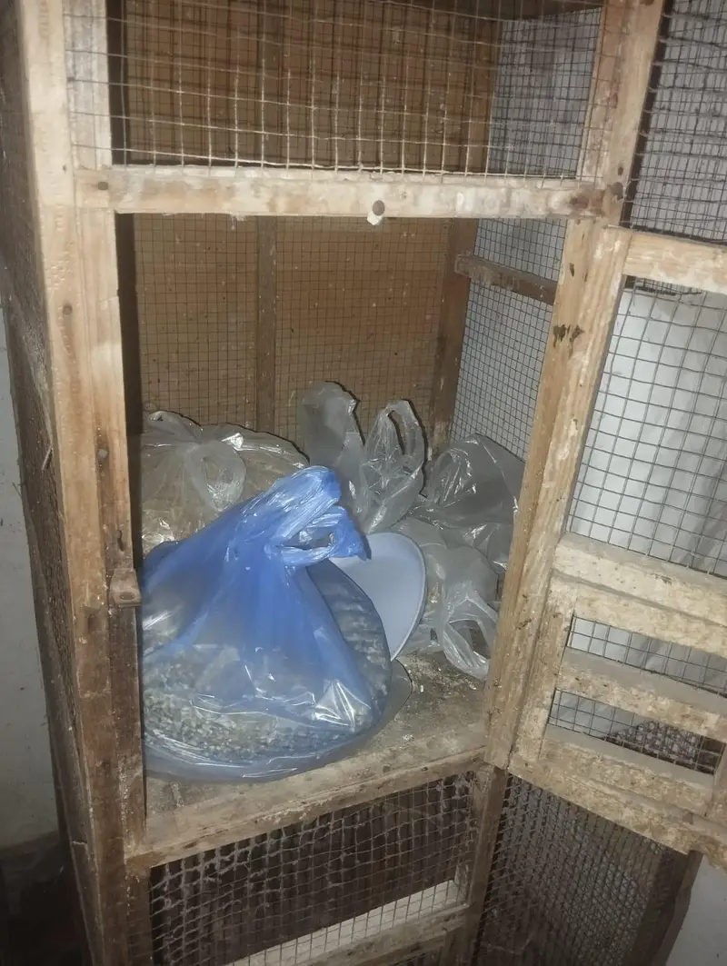 cage for sale — photo 2
