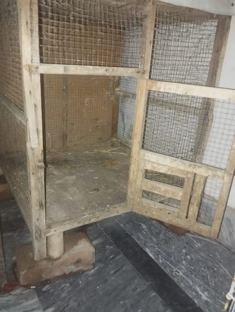 cage for sale — photo 5
