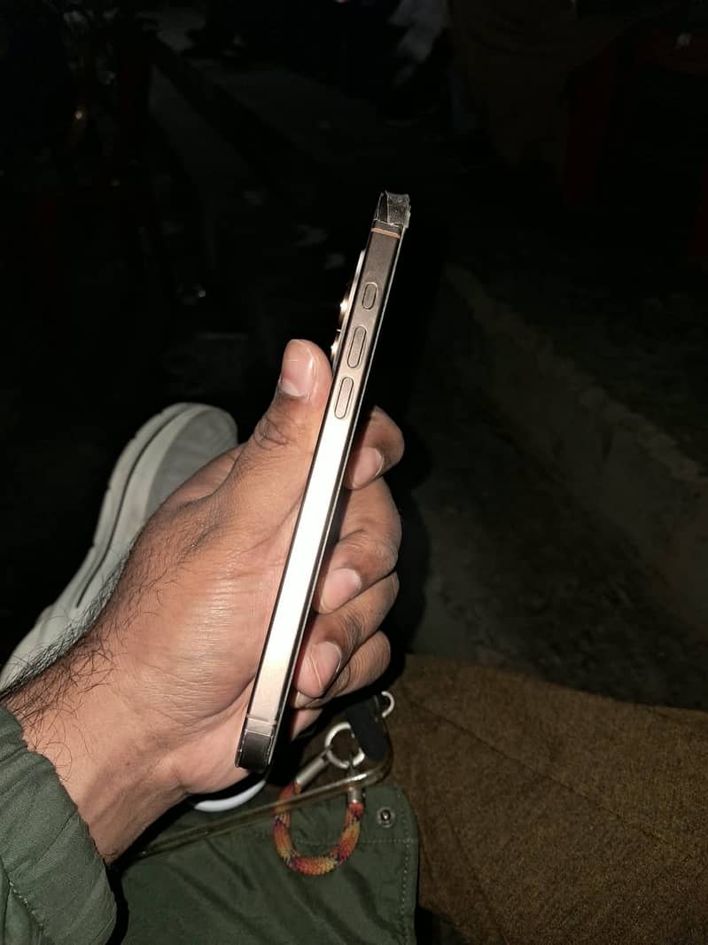 Apple iPhone 16 Pro Max 1