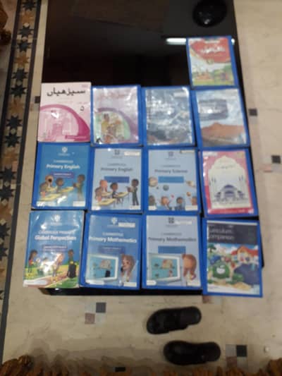 Cambridge Primary Solved books set for sale