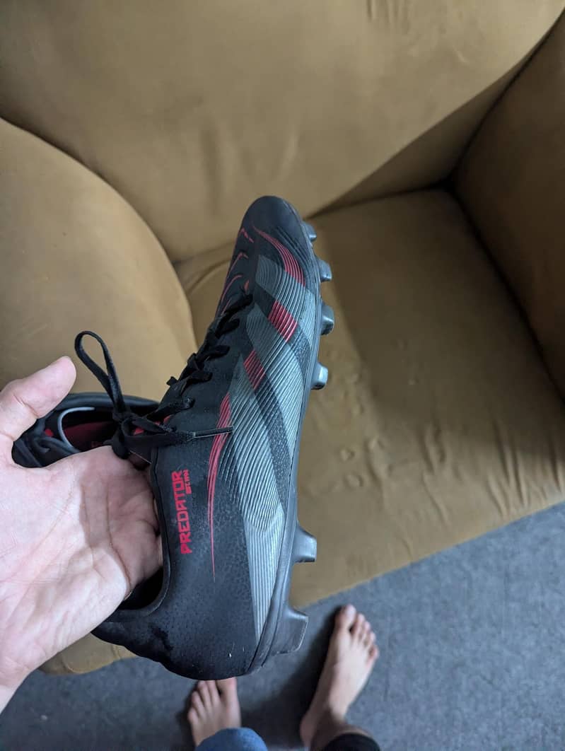 predator 2026 model 7