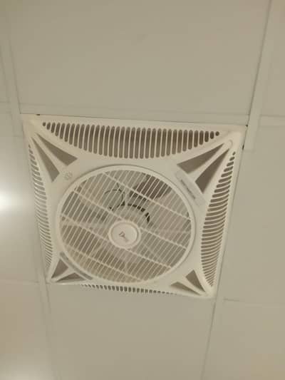 ceiling fans