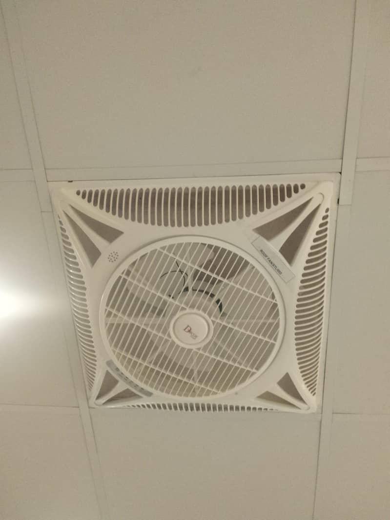 ceiling fans 1