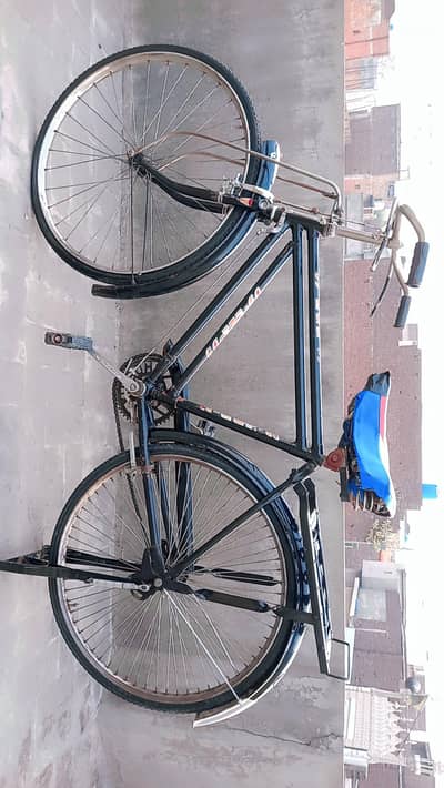 baba cycle. . . size 22 number