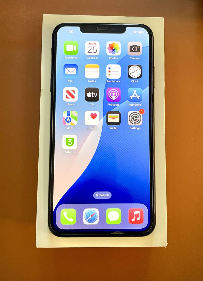 Apple iPhone XS Max 1