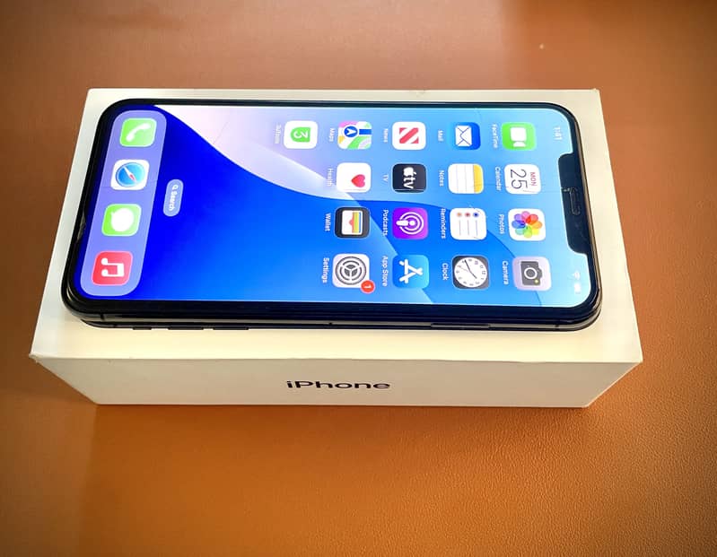 Apple iPhone XS Max 5