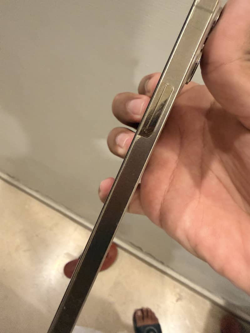 Apple iPhone 12 Pro Max 1