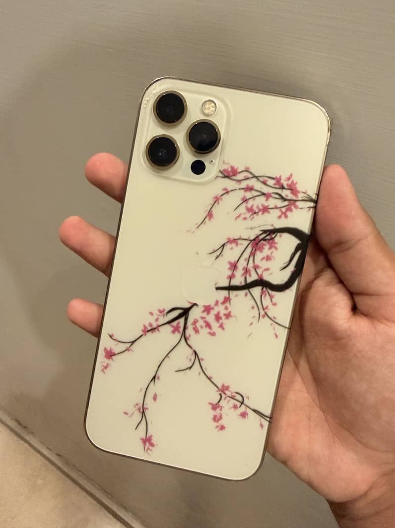 Apple iPhone 12 Pro Max 2