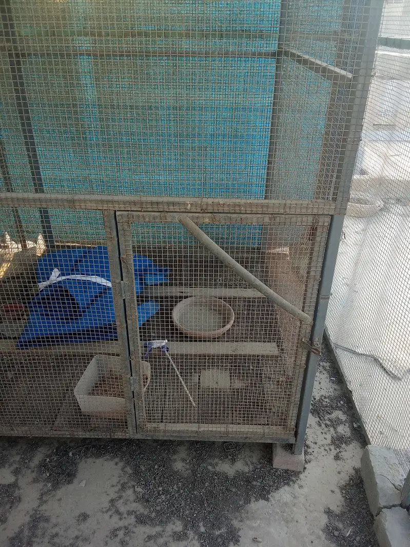 Iron Cage For sell — photo 2