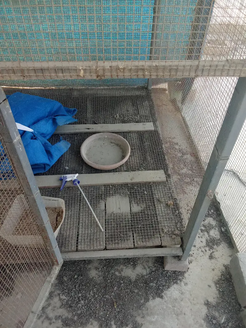 Iron Cage For sell — photo 3
