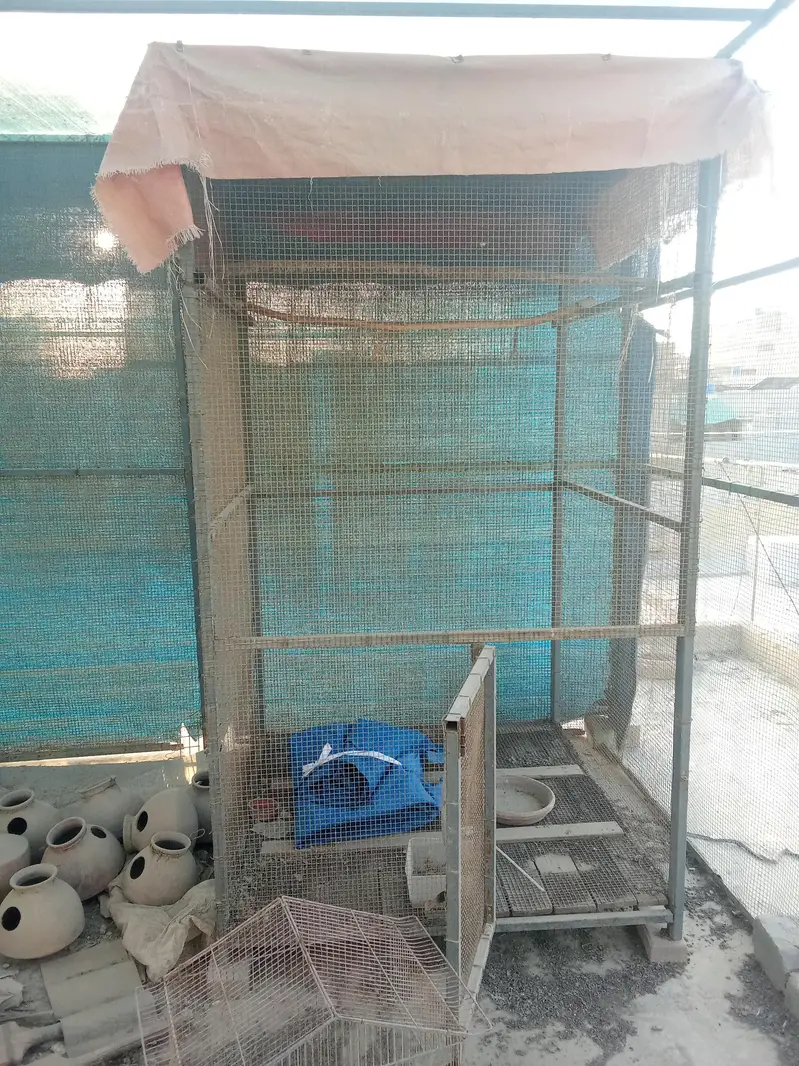 Iron Cage For sell — photo 4