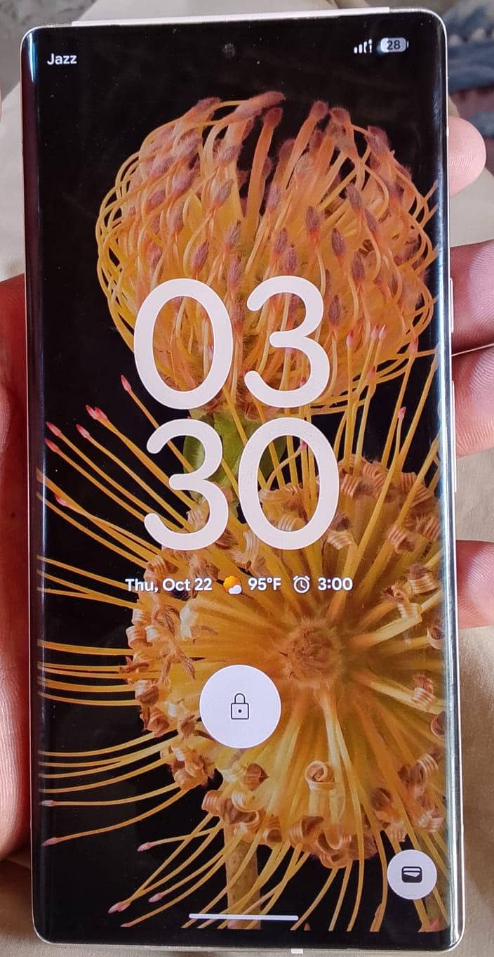 Google Pixel 6 Pro 1