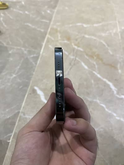 Apple iPhone 13 Pro Max condition 10/9.5