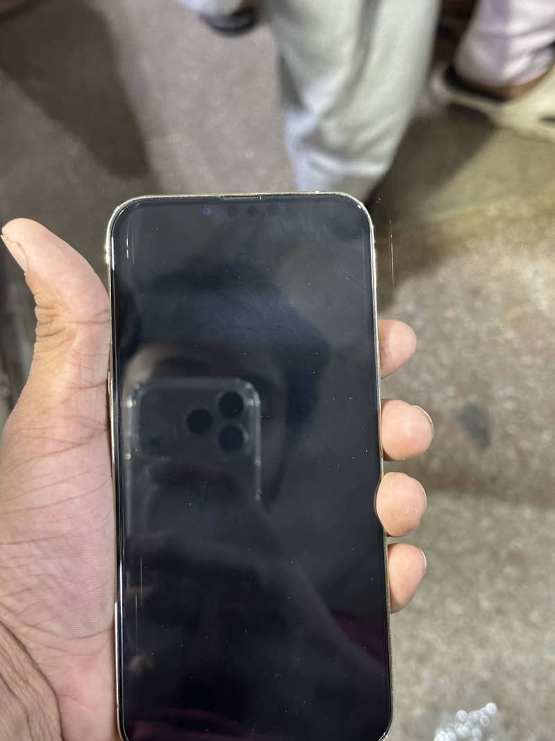 Iphone 13 pro max 1