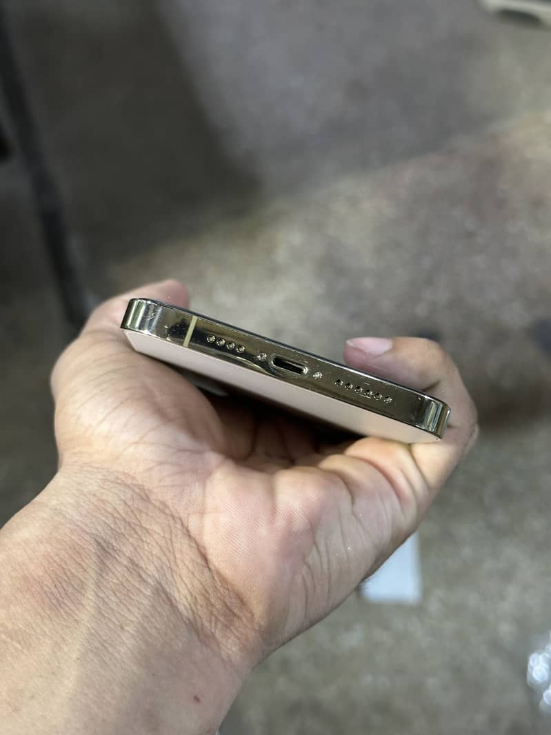 Iphone 13 pro max 4