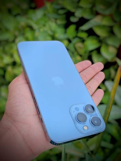 Apple iPhone 13 Pro Max