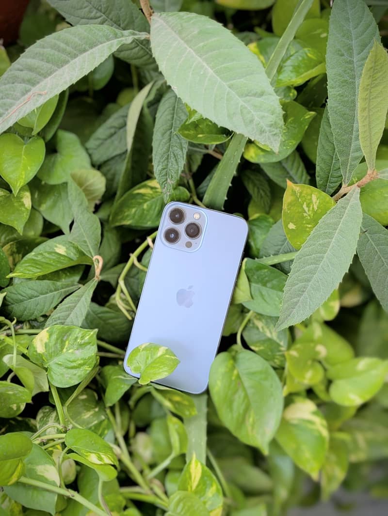 Apple iPhone 13 Pro Max 2