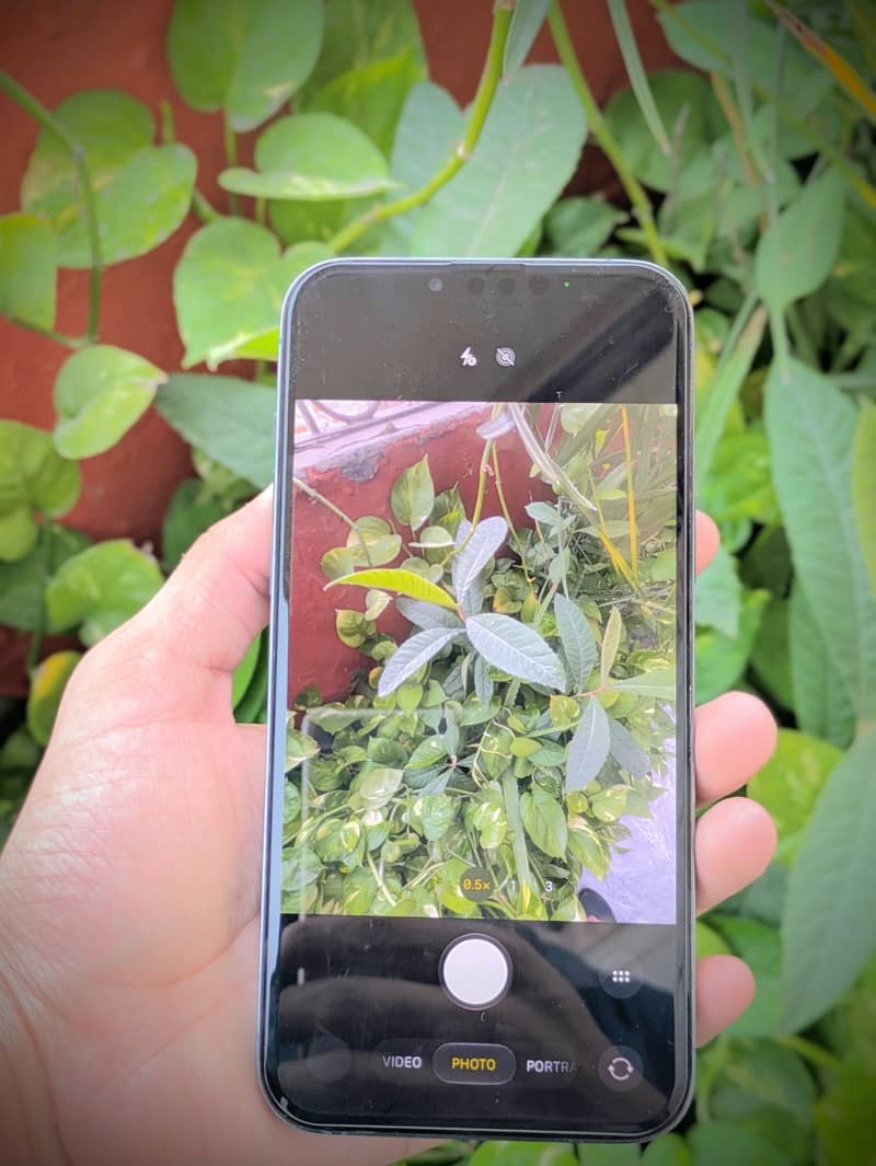 Apple iPhone 13 Pro Max 6