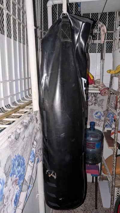 Everlast Boxing Bag And Gloves