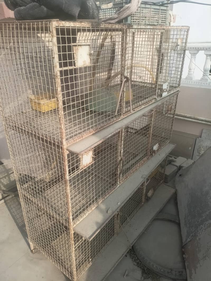 bird cage 1