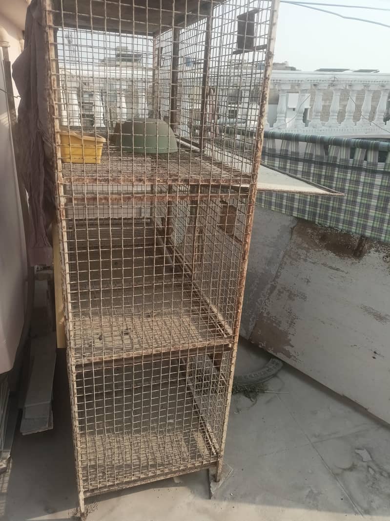 bird cage 3