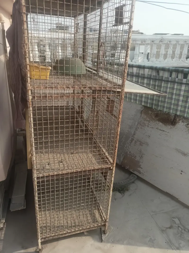 bird cage — photo 4