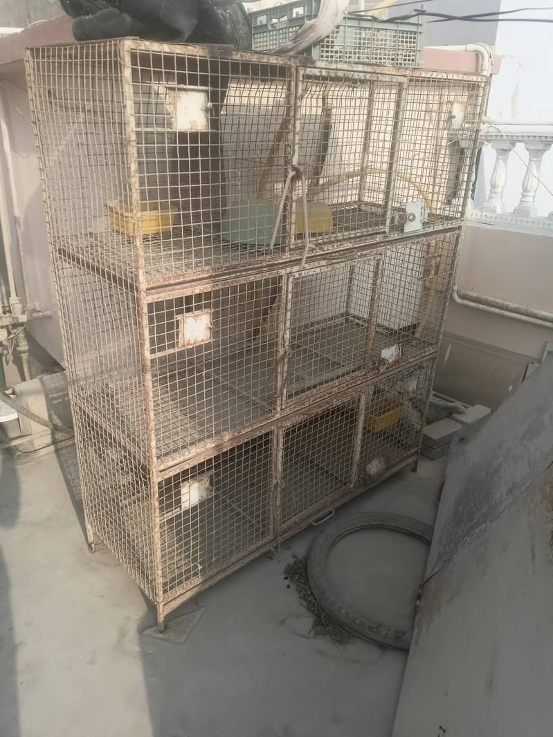 bird cage 5