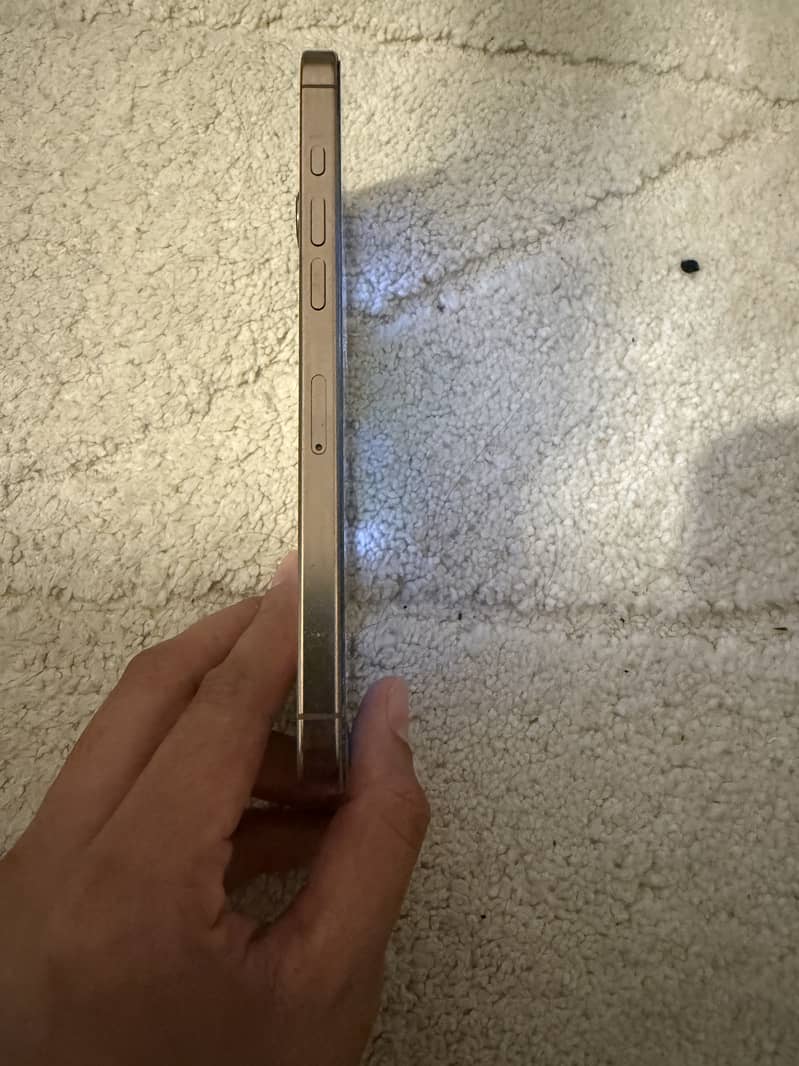 Apple iPhone 16 Pro Max 1