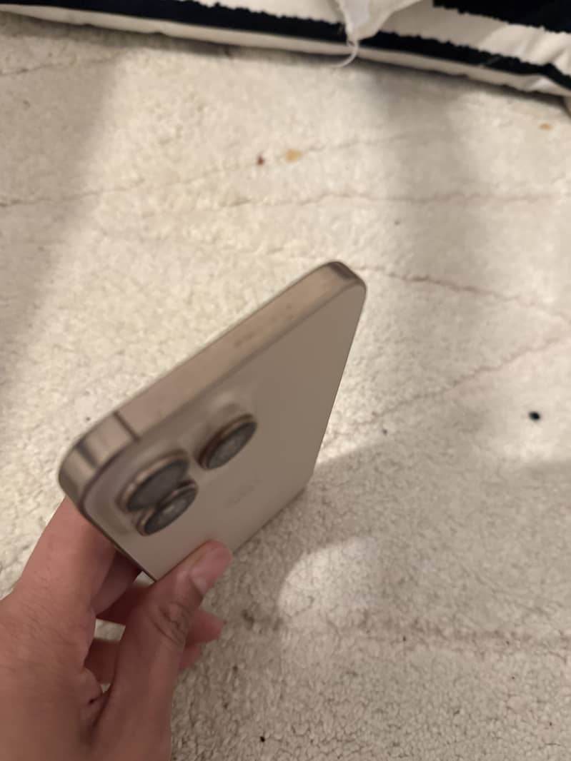 Apple iPhone 16 Pro Max 2