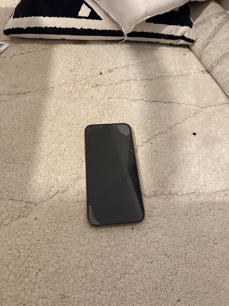 Apple iPhone 16 Pro Max 4
