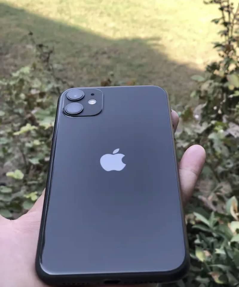Apple iPhone 11 0